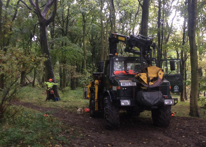 Chevin Park Tree Removal and Pruning