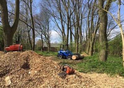 Tree Removal and Pruning Clarkhall Farm, Woodland Restoration, Wakefield