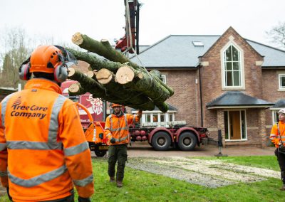 Subsidence Tree Removal, Headingley, Leeds