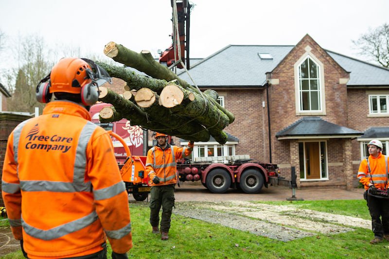 Subsidence Tree Removal, Headingley, Leeds